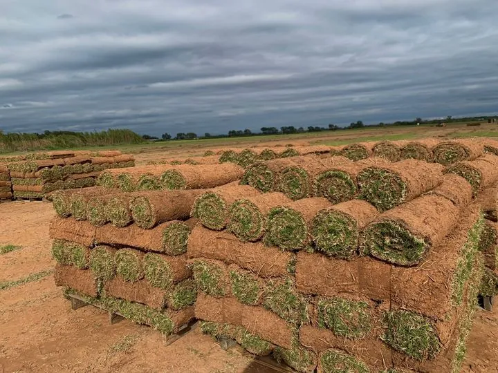 Farm Update photo: 392952587 813558697437252 2226474567838241896 N