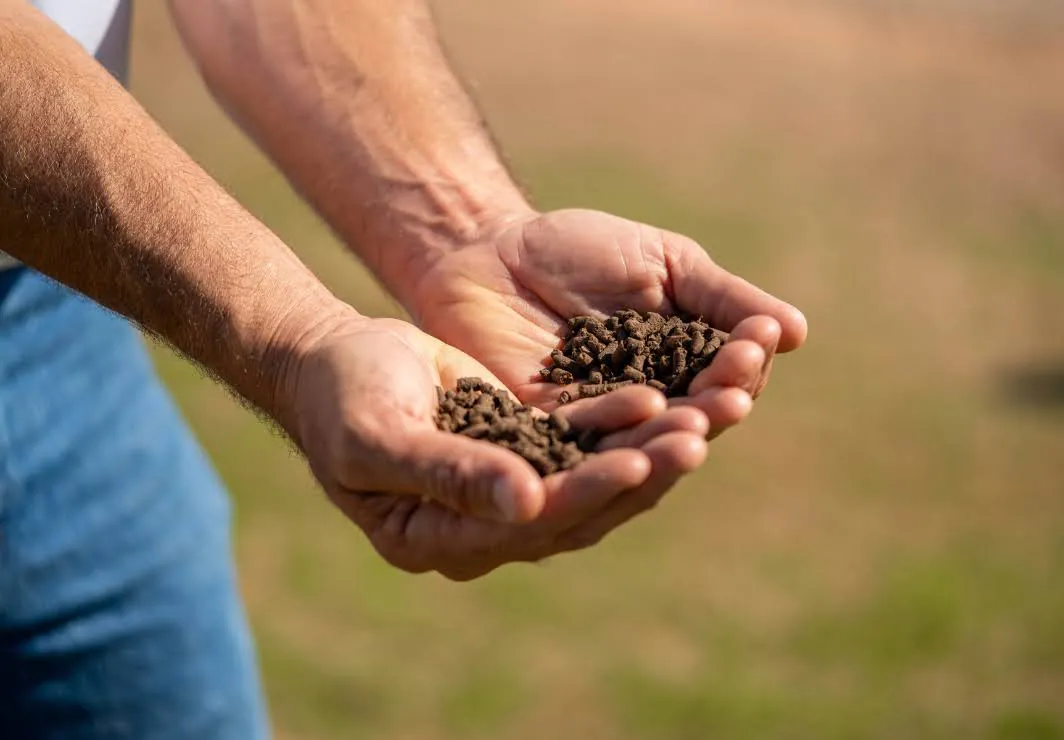 Farm Detail photo: Buenavista Seeds