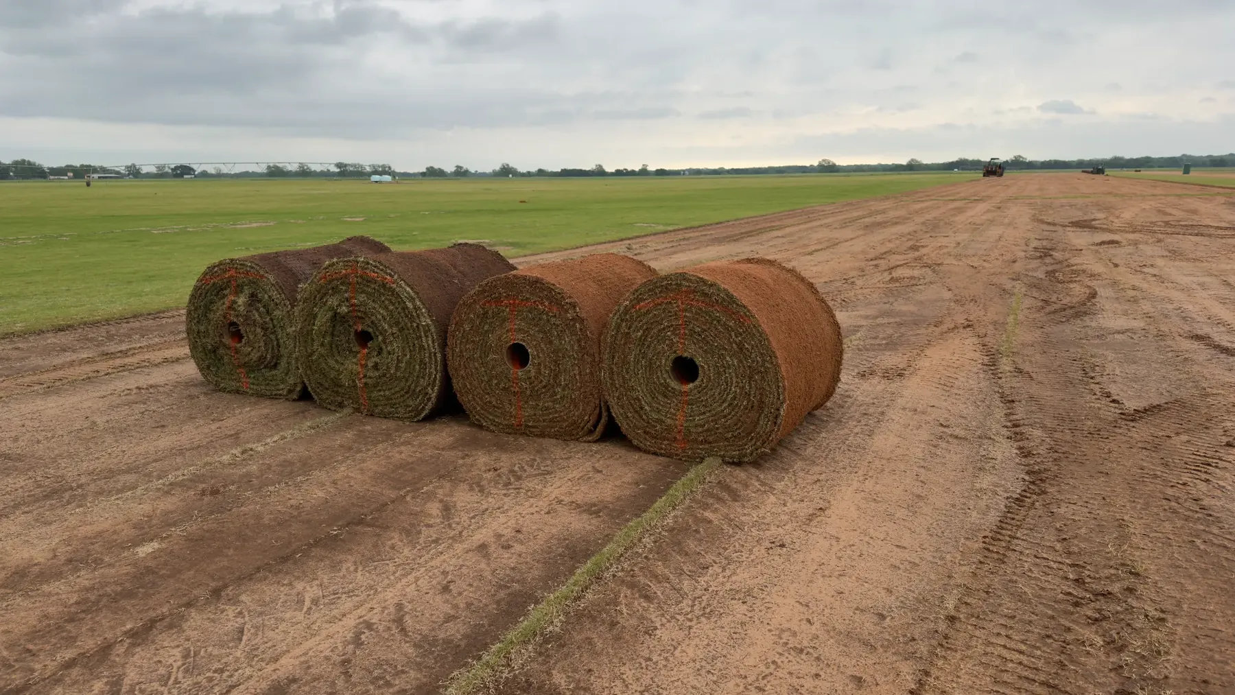 Harvest & Field Work photo: IMG 4933