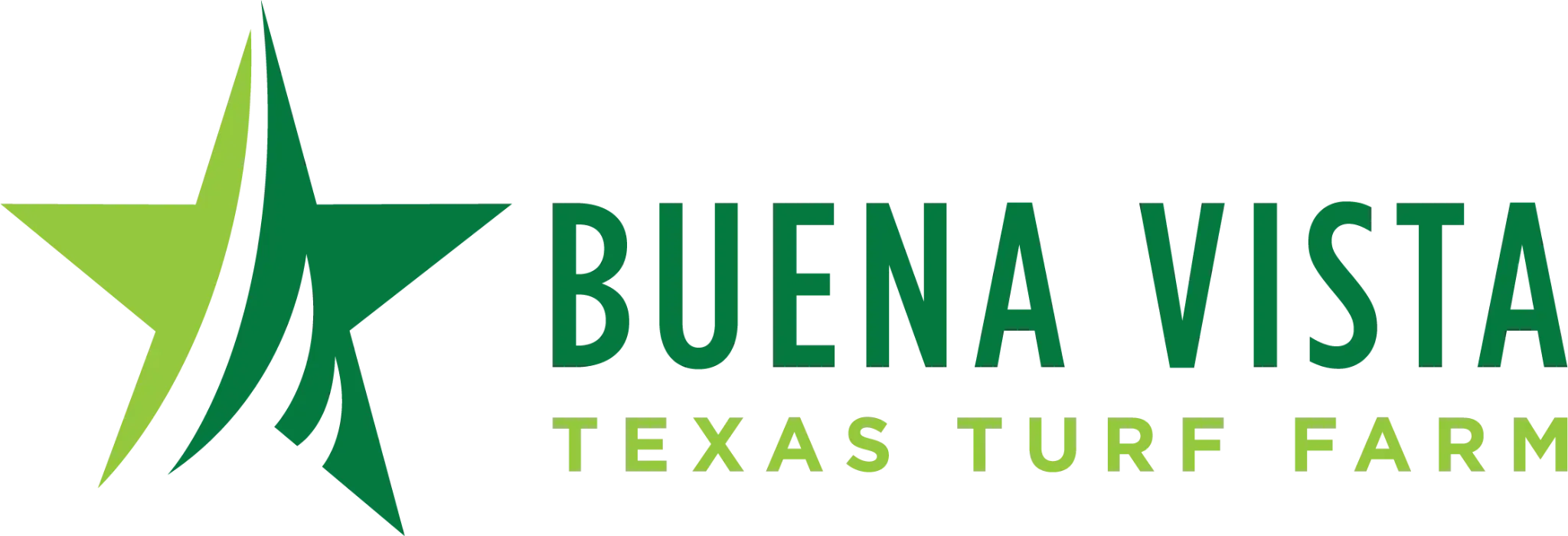 Buena Vista Turf